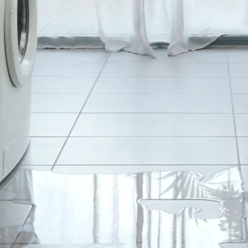 Appliance Leak Cleanup in Gibson County, TN