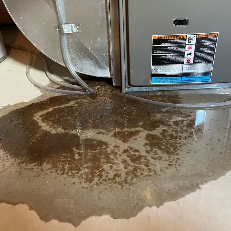 Pipe Burst and Leak Restoration in Gibson County, TN