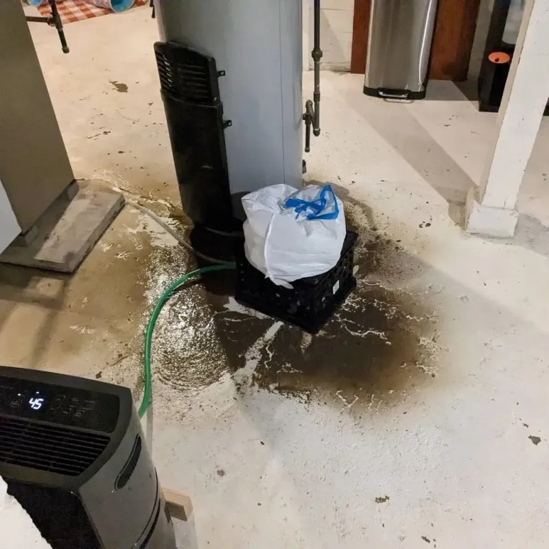 Sewage Backup Cleanup Service in Gibson County, TN